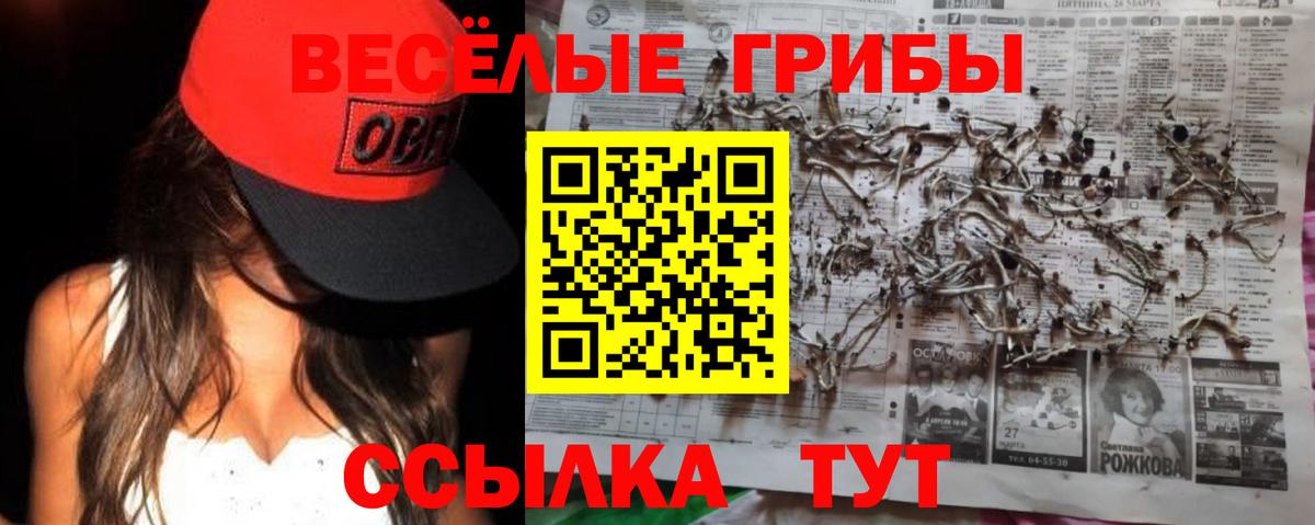 Галлюциногенные грибы Cubensis  Вход с VPN  где найти   Кулебаки 